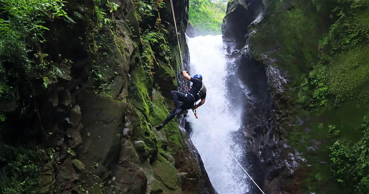 Rainforest Falls and Pure Trek Canyoning